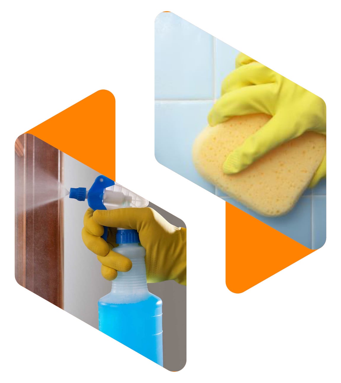 Novozymes® Enzymes for  Medical Cleaning banner image